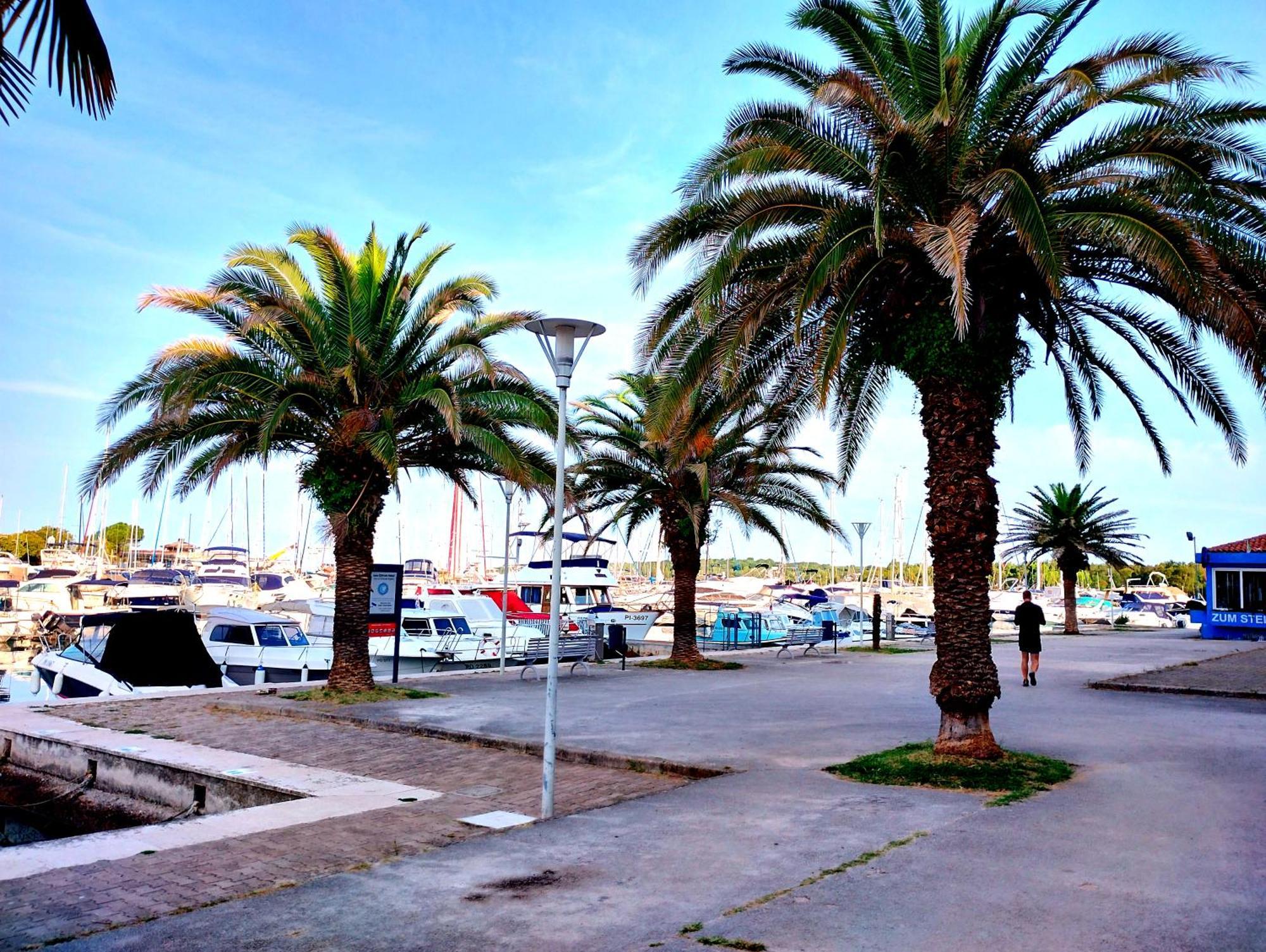Premium Apartment Eden Poreč Dış mekan fotoğraf