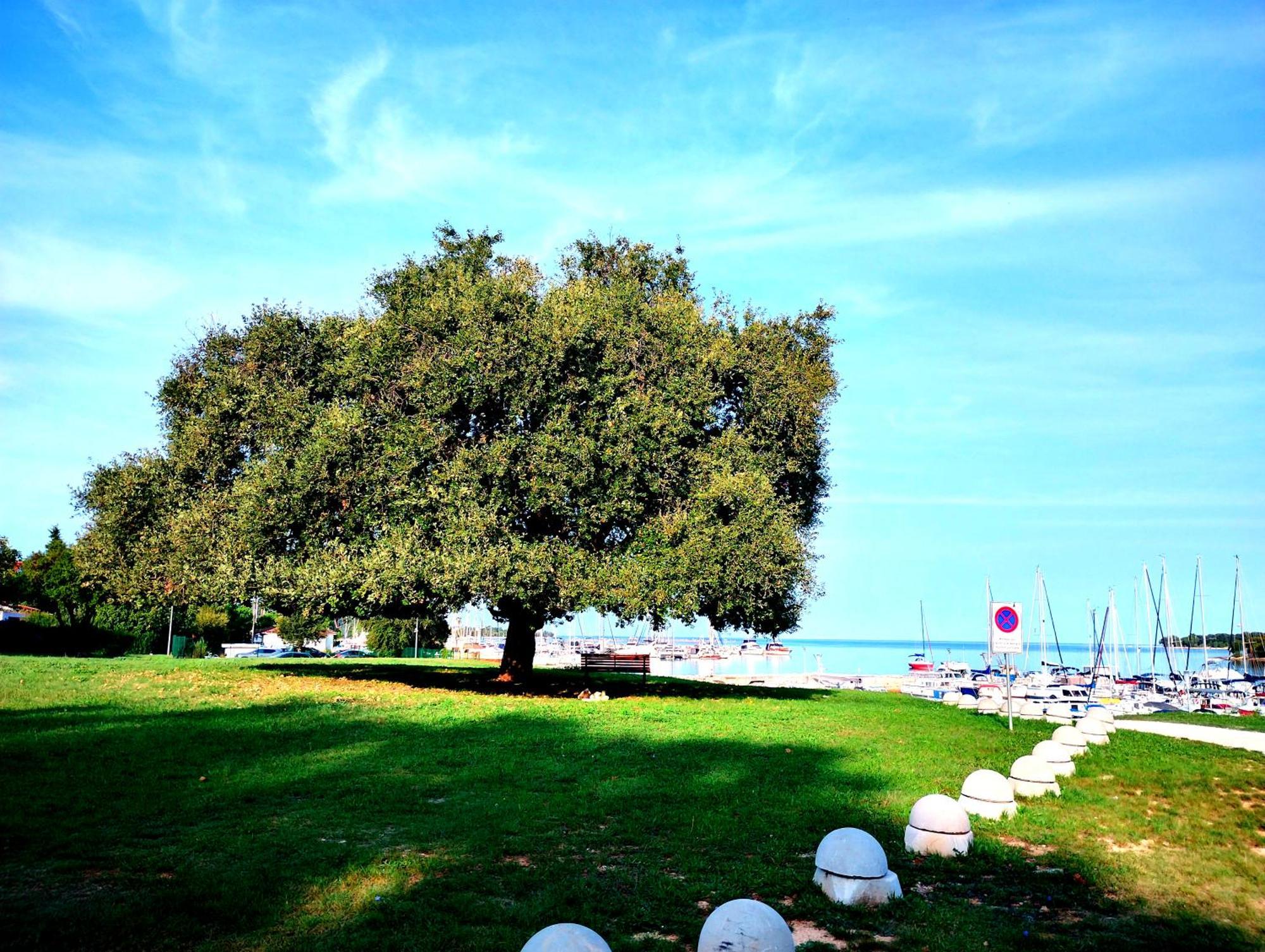 Premium Apartment Eden Poreč Dış mekan fotoğraf
